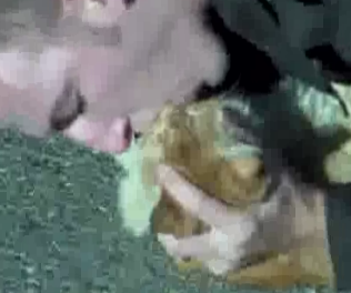 EMT Does CPR on a Cat